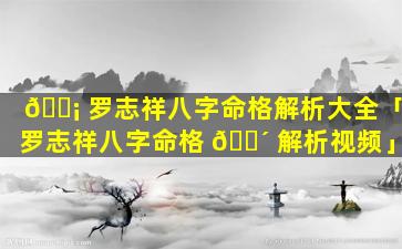 🐡 罗志祥八字命格解析大全「罗志祥八字命格 🐴 解析视频」